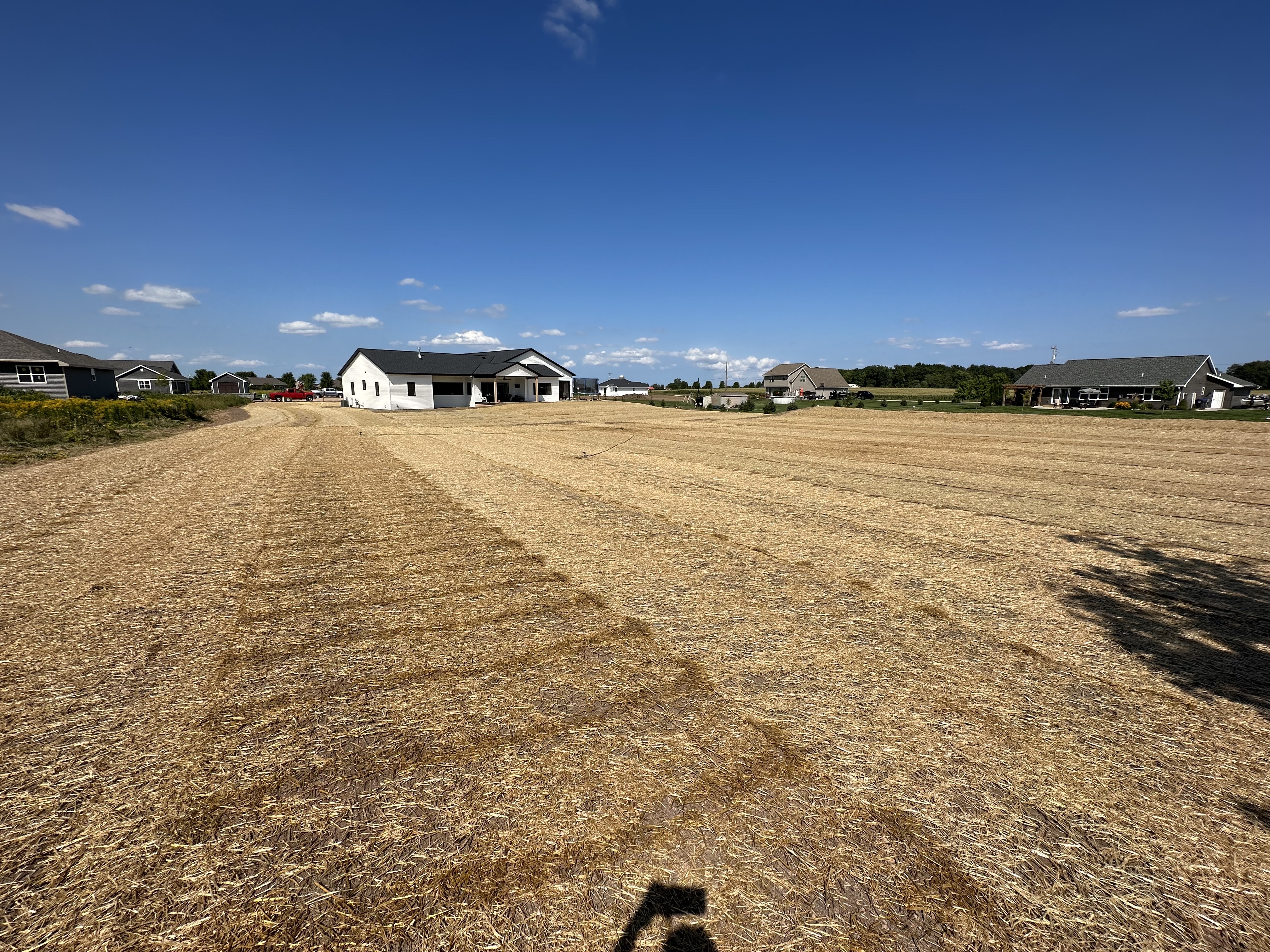 New lawn installation and grading project